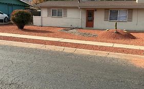 Arizona Cactus